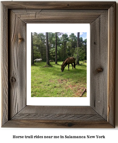 horse trail rides near me in Salamanca, New York